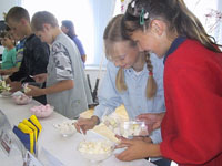 Rūjienas saldējums