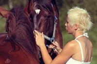 Stallis 'Zirgu vārdotāja'